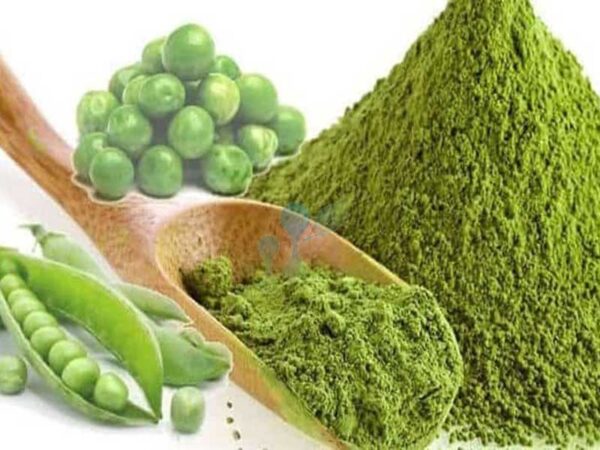 Proteína de Chícharo