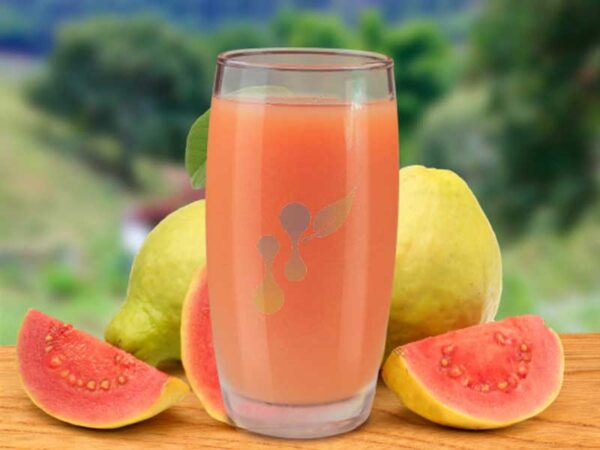 Concentrado de Guayaba Rendimiento 1+19