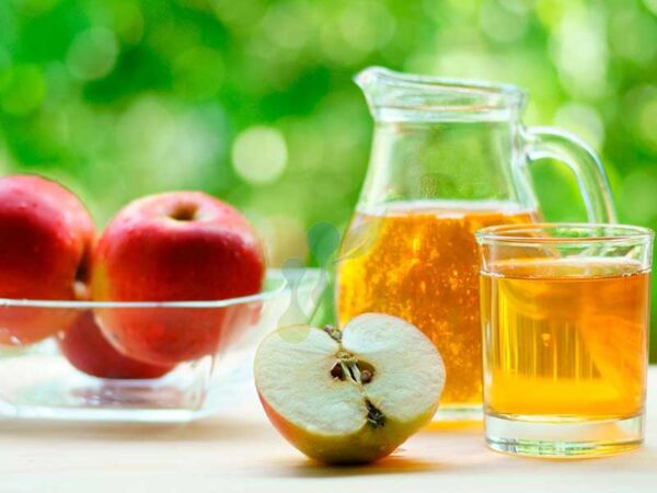 Concentrado de Manzana Rendimiento 1+19